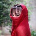 李子柒